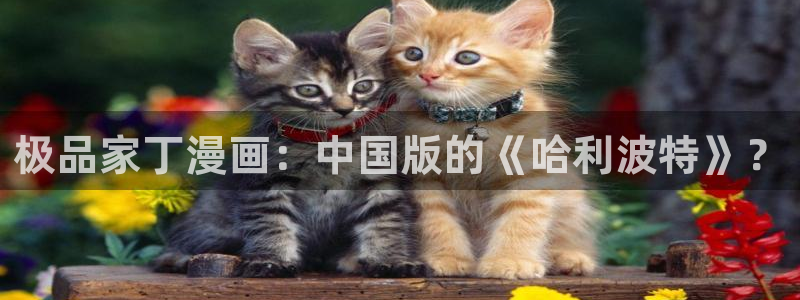 漫蛙2(官网入口)
