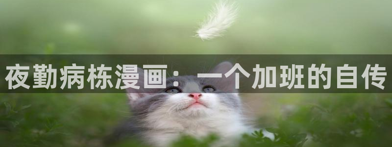 漫蛙需要付费吗：夜勤病栋漫画：一个加班的自传