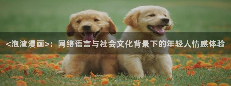 漫蛙漫画网页版本：<泡渣漫画>：网络语言与社会文化背景下的年轻人情感体验