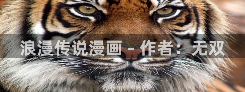 漫蛙网下载：浪漫传说漫画 - 作者：无双