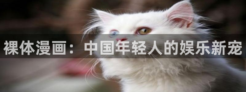 漫蛙老版：裸体漫画：中国年轻人的娱乐新宠