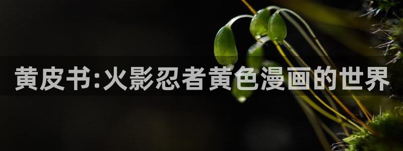 漫蛙漫画 网页：黄皮书:火影忍者黄色漫画的世界