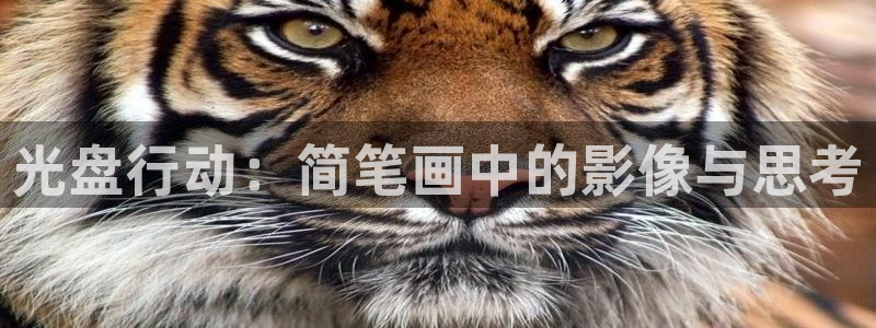 漫蛙网址最新：光盘行动：简笔画中的影像与思考