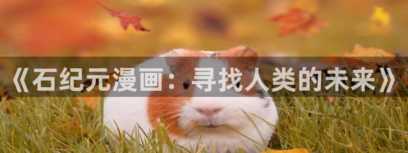 漫蛙app怎么下载安卓：《石纪元漫画：寻找人类的未来》