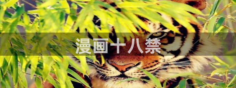 漫蛙网址2025：漫画十八禁