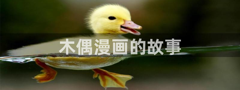 漫蛙漫画登录入口：木偶漫画的故事