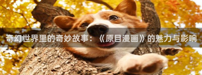 reweiyun,漫蛙：奇幻世界里的奇妙故事：《原目漫画》的魅力与影响