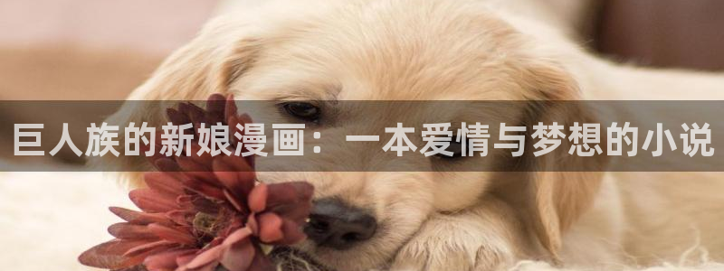 漫蛙manwa漫画入口页面在哪里：巨人族的新娘漫画：一本爱情与梦想的小说