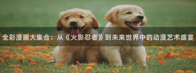 漫蛙链接怎么下载：全彩漫画大集合：从《火影忍者》到未来世界中的动漫艺术盛宴